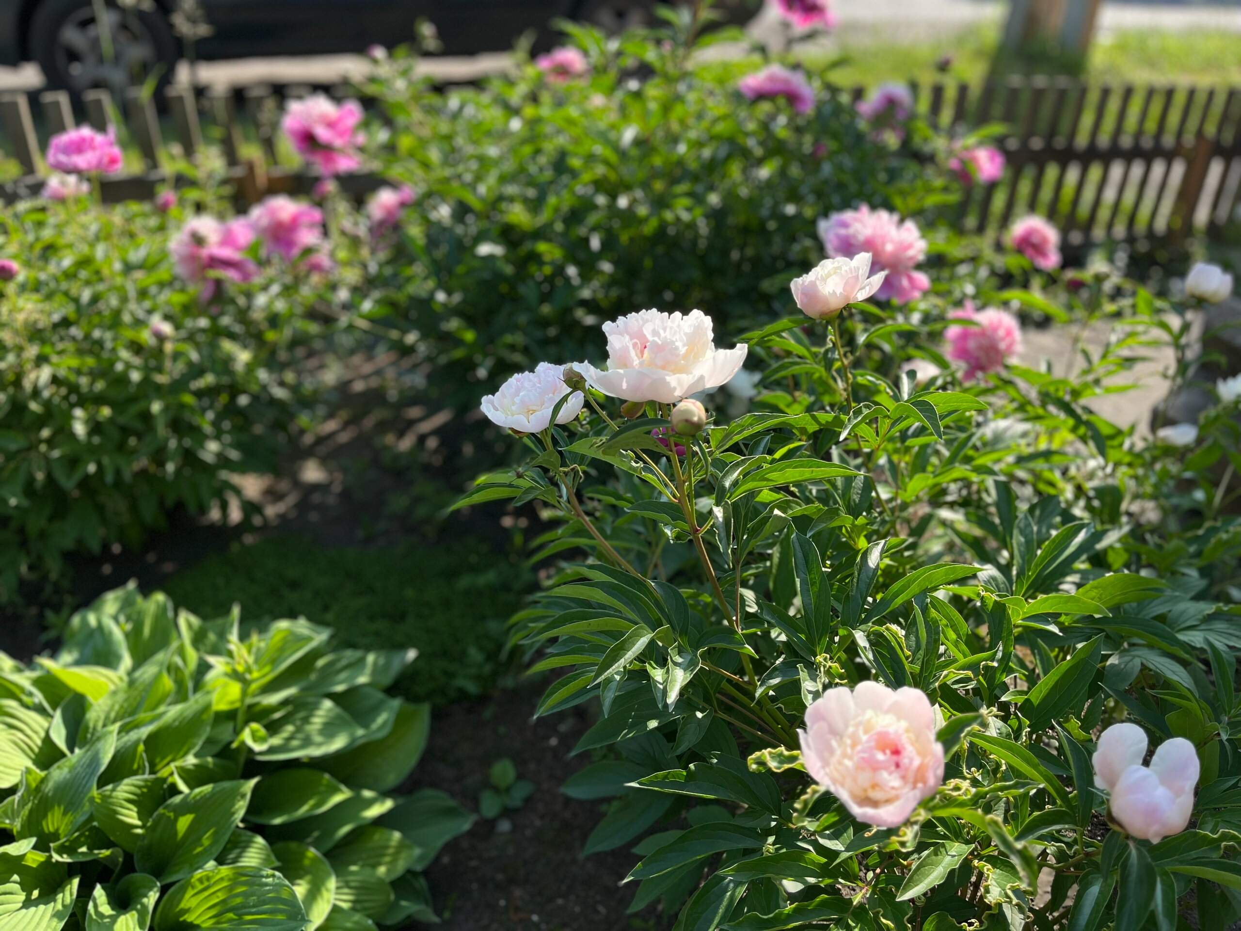 Красота в объективе